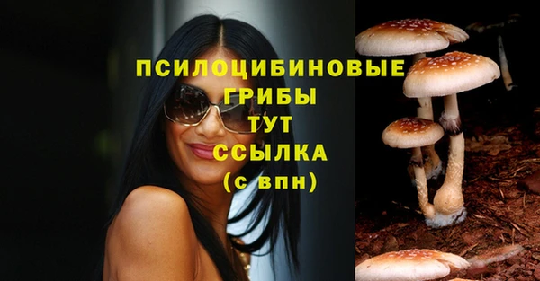 трава Аркадак