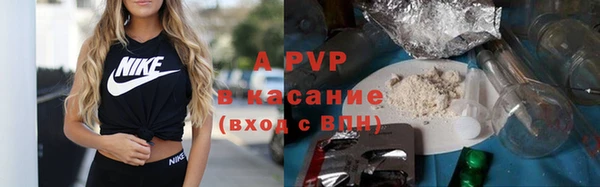 трава Аркадак