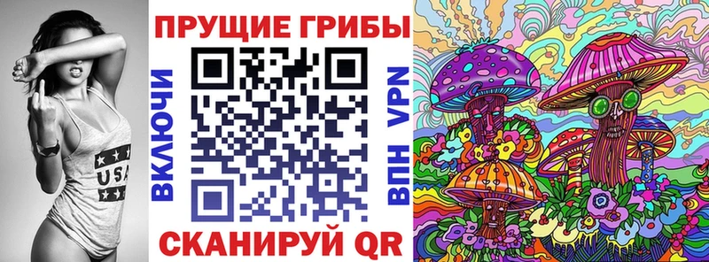 блэк спрут   Елабуга  Галлюциногенные грибы Psilocybine cubensis 